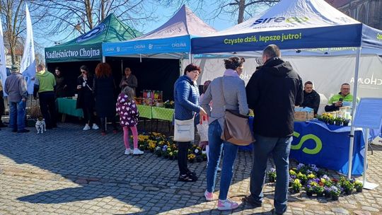 Akcja „Rozsady za elektroodpady” w Chojnie i Trzcińsku-Zdroju – Posprzątaj razem z nami!