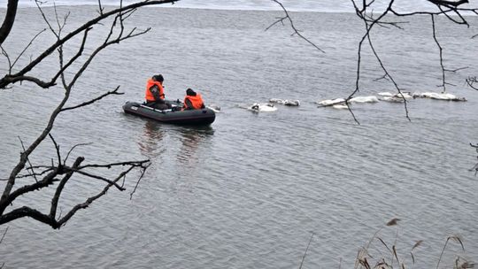 Alarm dla hodowców w regionie. Wykryto wirusa ptasiej grypy H5N1 u dzikiego ptactwa
