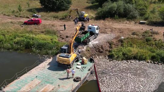 Ciężki sprzęt wyławia martwe ryby z Odry [WIDEO]