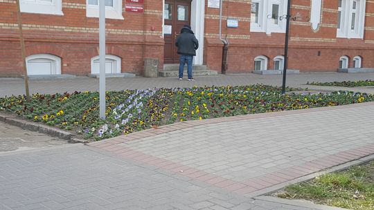 Czy oby nie za wcześnie?