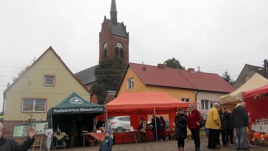 Dni Cedyni powinny się odbyć!