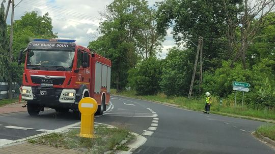 Gasili duży pożar trzcinowiska - wspólna akcja jednostek OSP