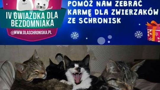  "Gwiazdka dla Bezdomniaka"