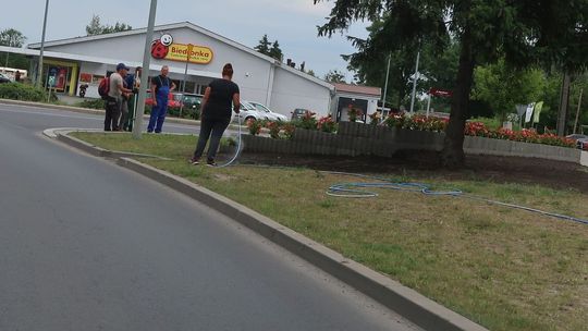Jaki napis ułożyli z kwiatów?