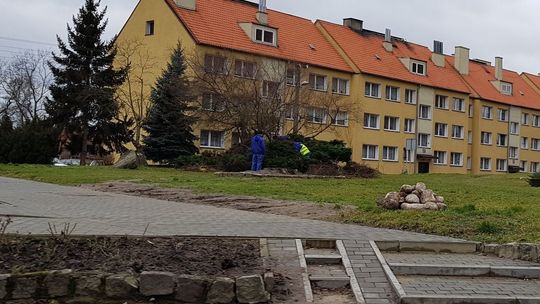Już wiosenne cięcia?