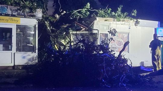 Katastrofalne skutki silnych wiatrów w gminach Cedynia i Chojna