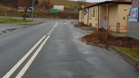 Krety prawie 3 tygodnie grasowały?