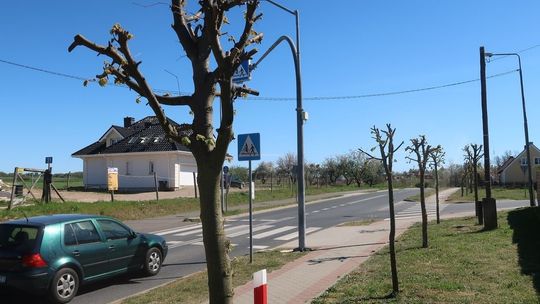 Ktoś przesadził z przycinką