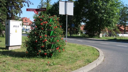 Kwiaty zastawiają kierowcom widok na skrzyżowanie