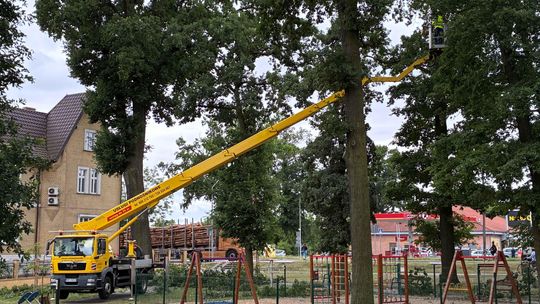 Lepiej późno niż wcale [FOTO]