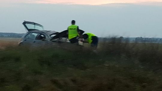 Na łuku wypadli z drogi. Nastoletni kierowca i pasażerka zostali ranni [FOTO]