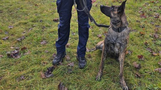 Nowa w Komendzie Powiatowej Policji w Gryfinie