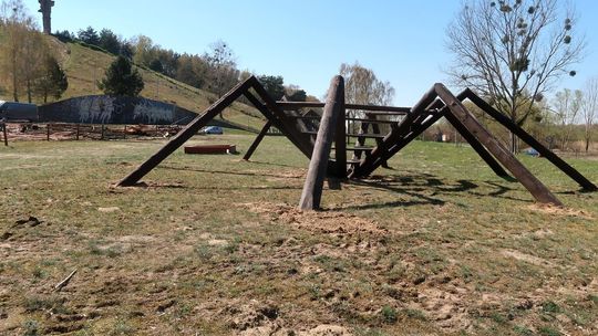 Pająk gigant "przeszedł" w stronę drogi