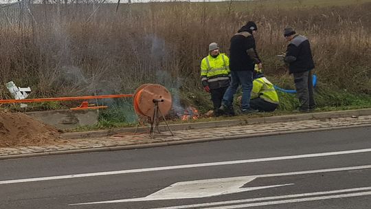 Palą ogniska w mieście