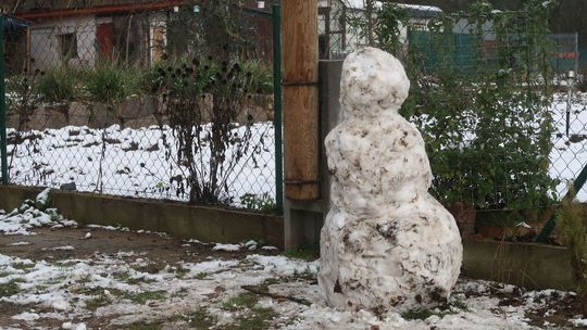 Pierwszy śnieg