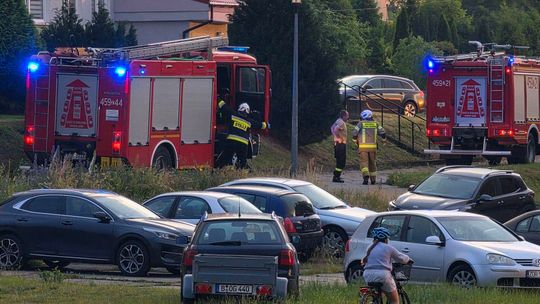 Akcja strażaków na Sójczym Wzgórzu. Przyjechał 2 zastępy