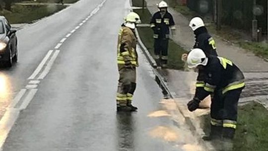 Plamę oleju neutralizowali strażacy