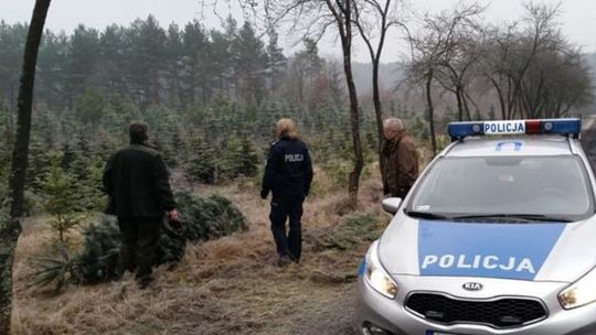 Policjanci apelują do grzybiarzy