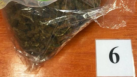 Posiadał prawie sześćset porcji handlowych narkotyków