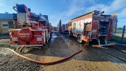 Pożar na fermie świń w miejscowości Bara pod Chojną. Tragedia zwierząt i wielka akcja straży pożarnej