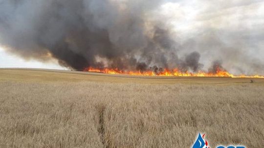 Pożar za pożarem, a do tego ulewa