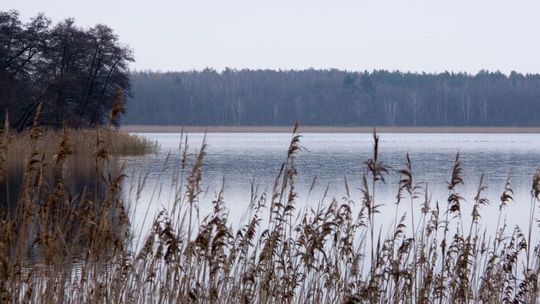 Przekazujemy dobre informacje dla wędkarzy