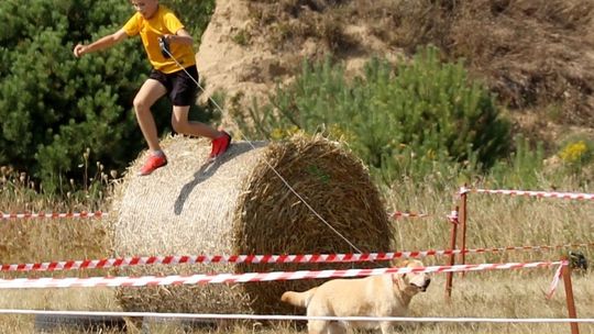 Psijaciele oraz Active 4 Animals zorganizowali Chojeński Off-Road "Bieg na cztery łapy" [FOTO, WIDEO]
