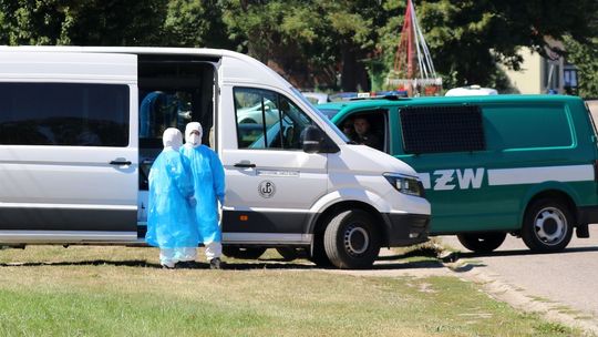 Rośnie liczba zakażonych