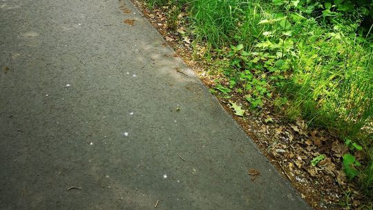 Ścieżka rowerowa na trasie Trzcińsko-Zdrój - Siekierki [LIST]
