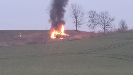 Spłonął na trasie Cedynia - Chojna