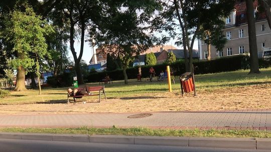 Spożywają i śpią