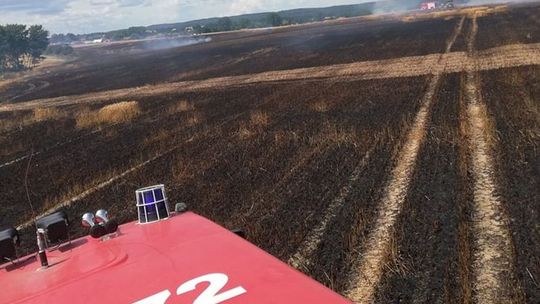 Strażacy gaszą na polach
