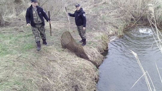 Strażnicy zabezpieczyli sprzęt kłusowników