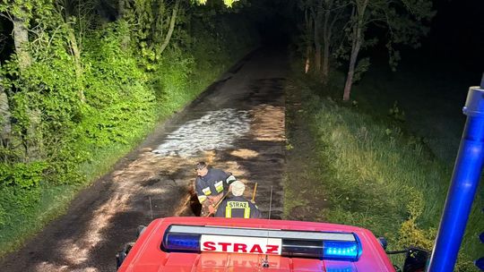 Tragiczny wypadek na drodze między Orzechowem a Klępiczem