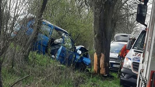 Uderzył autem w drzewo, chcąc ominąć zwierzę