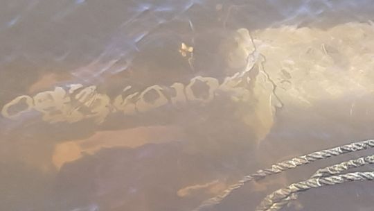 Unikalne zdjęcia znad wraku