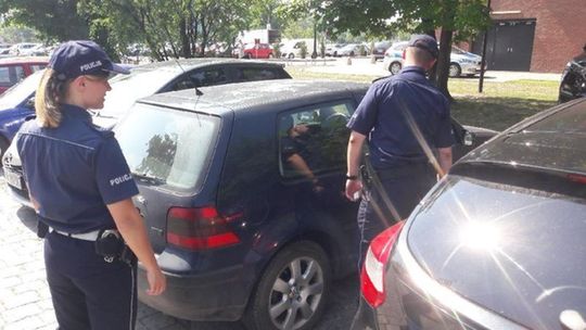 Uwolniła psa z nagrzanego samochodu. Teraz jest obwiniana o niepotrzebe zbicie szyby w aucie