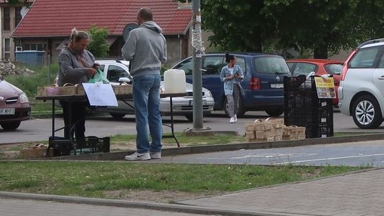 Wiemy ile trzeba zapłacić za kilogram truskawek