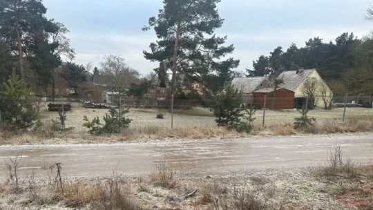 Wilki pod oknami w mroźną noc. Ślady po ataku przy drodze