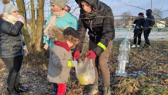 Wolontariat Lisie Pole buduje stołówki dla ptaków i pomaga zapełniać serce nakrętkami