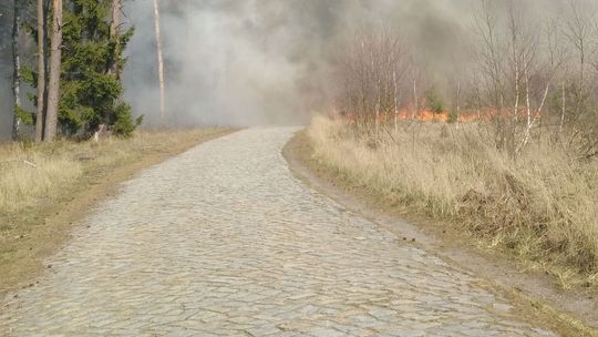 Zagrożenie pożarowe lasów