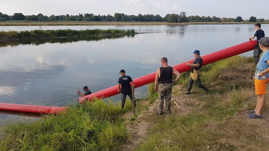 Zamontowali specjalną zaporę zabezpieczającą przed napływem śniętych ryb [FOTO]