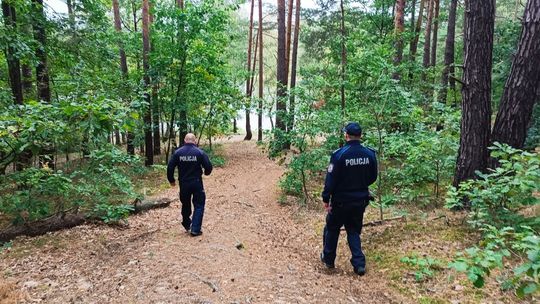 Zginął przywalony drzewem. Tragedia w lesie