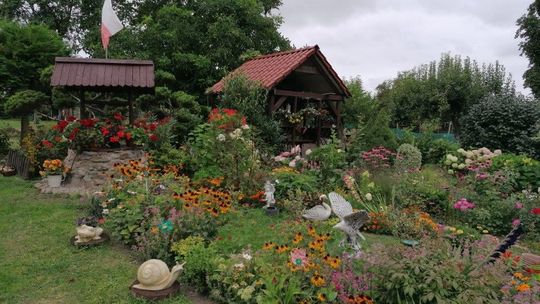 Znamy zwycięzców konkursu "Kwiatami Cedynię upiększamy"