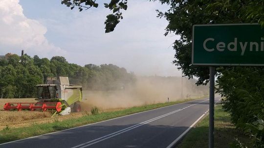 Żniwa w Cedyni w czasie suszy
