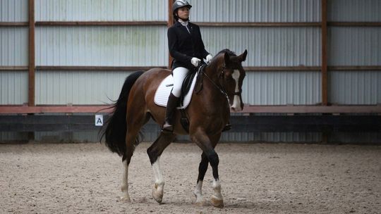 Zofia Fragstein-Niemsdorf z Podkowy powołana do kadry województwa zachodniopomorskiego