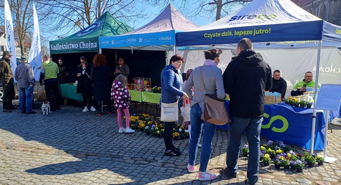 Akcja „Rozsady za elektroodpady” w Chojnie i Trzcińsku-Zdroju – Posprzątaj razem z nami! Akcja „Rozsady za elektroodpady” w Chojnie i Trzcińsku-Zdroju – Posprzątaj razem z nami!