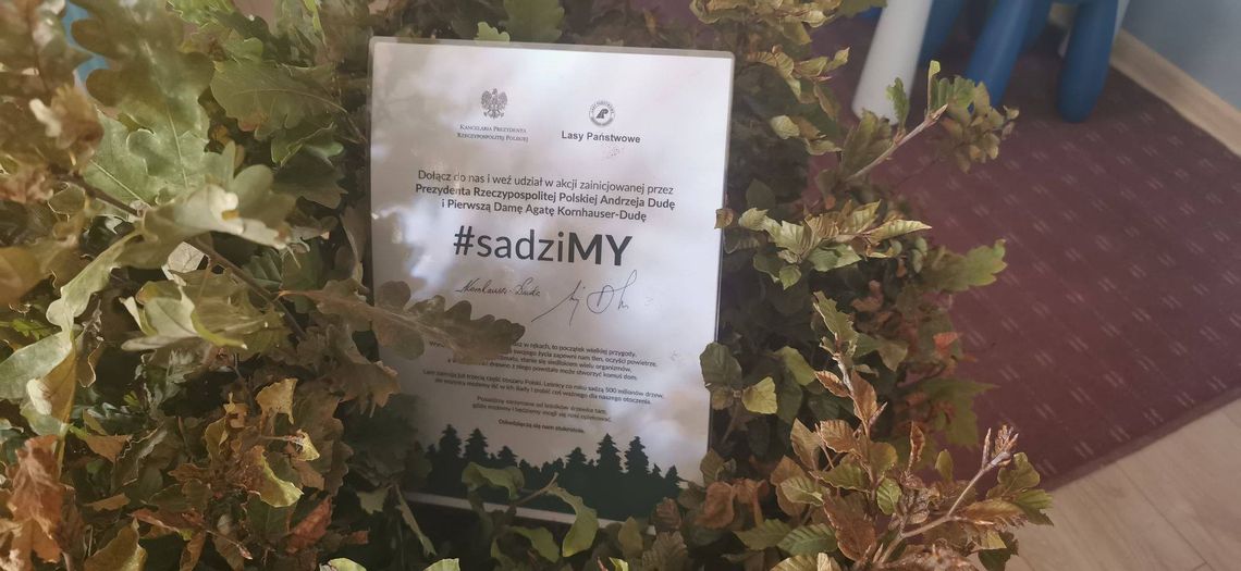 Cedynia włącza się do prezydenckiej akcji sadzenia drzew Cedynia włącza się do prezydenckiej akcji sadzenia drzew