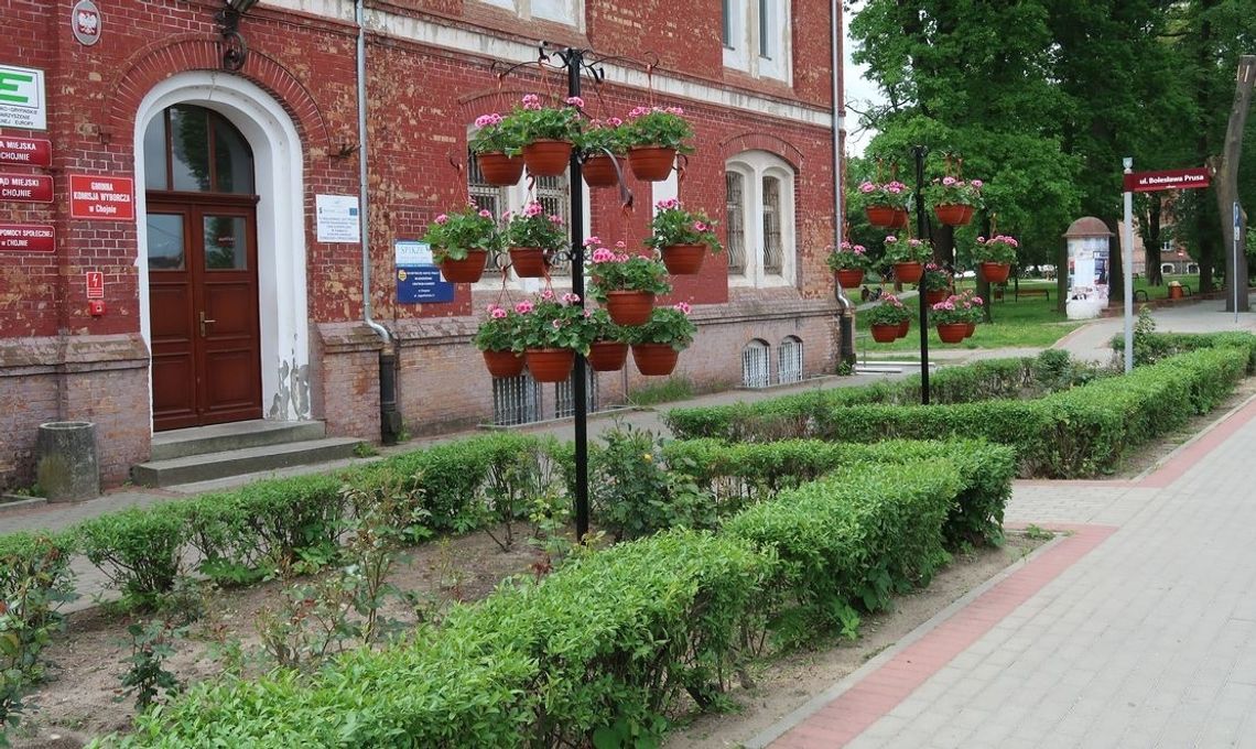 Dekoracje poszły w... górę. Nowe donice przed urzędem