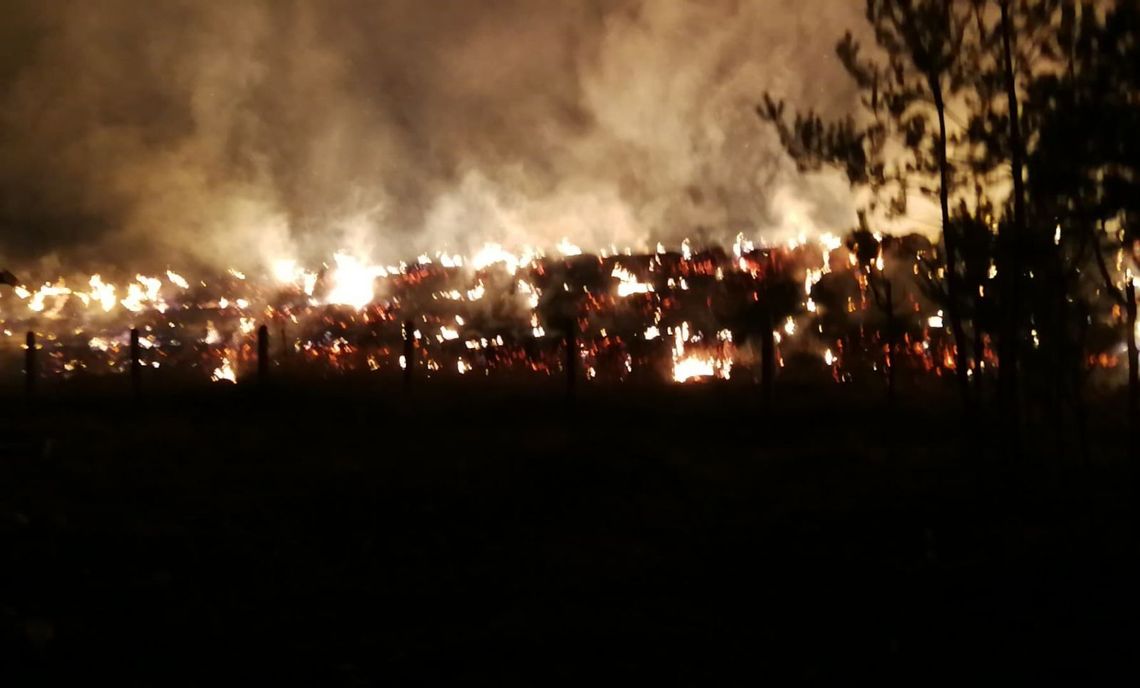 Do pożaru jechali na sygnale